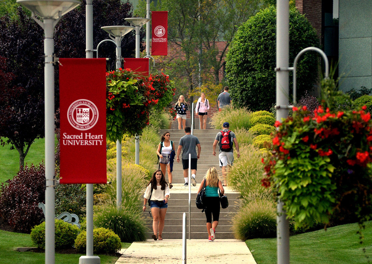 Sacred Heart University, USA Ranking, Reviews, Courses, Tuition Fees